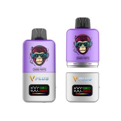 POD sistemos „Vape 25000 Puff“
